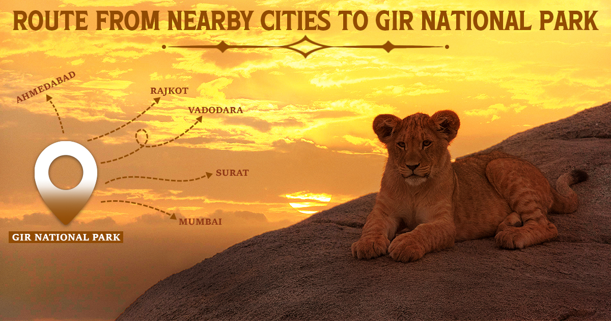 Explore The Natural Beauty of Flora and Fauna in Gir National Park