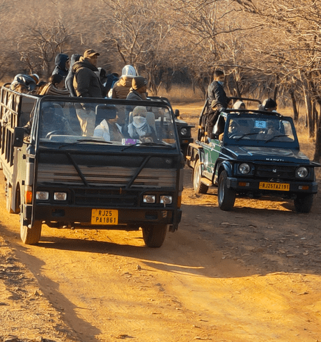 Gir National Park and We Two: A Rendezvous