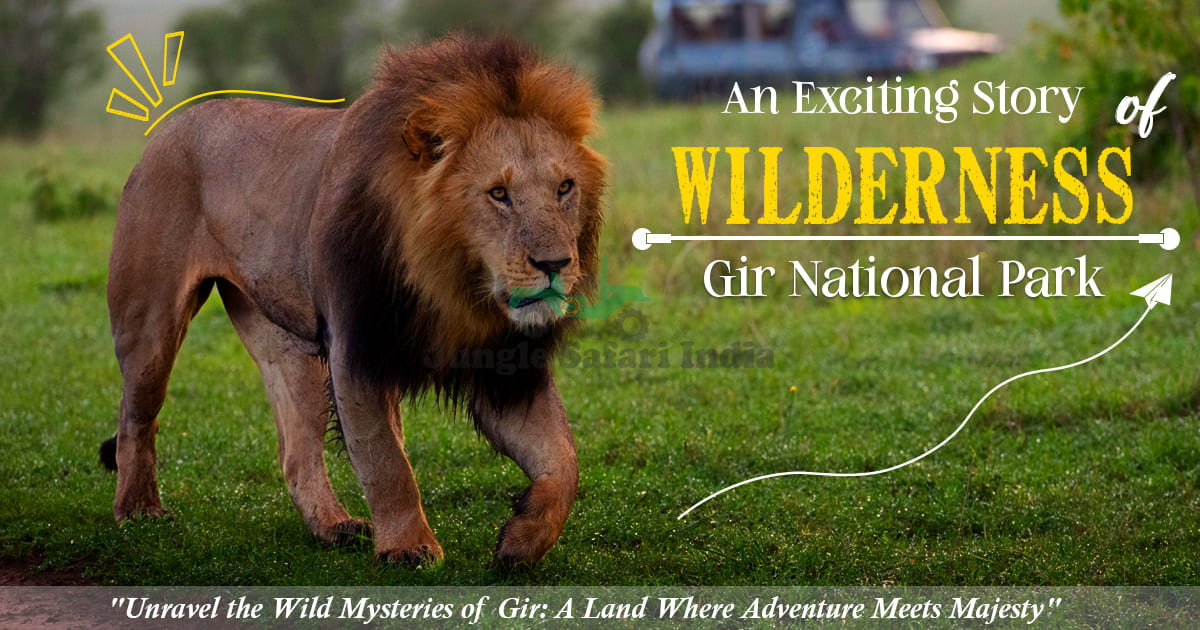 Gir National Park, an Exciting Story of Wilderness