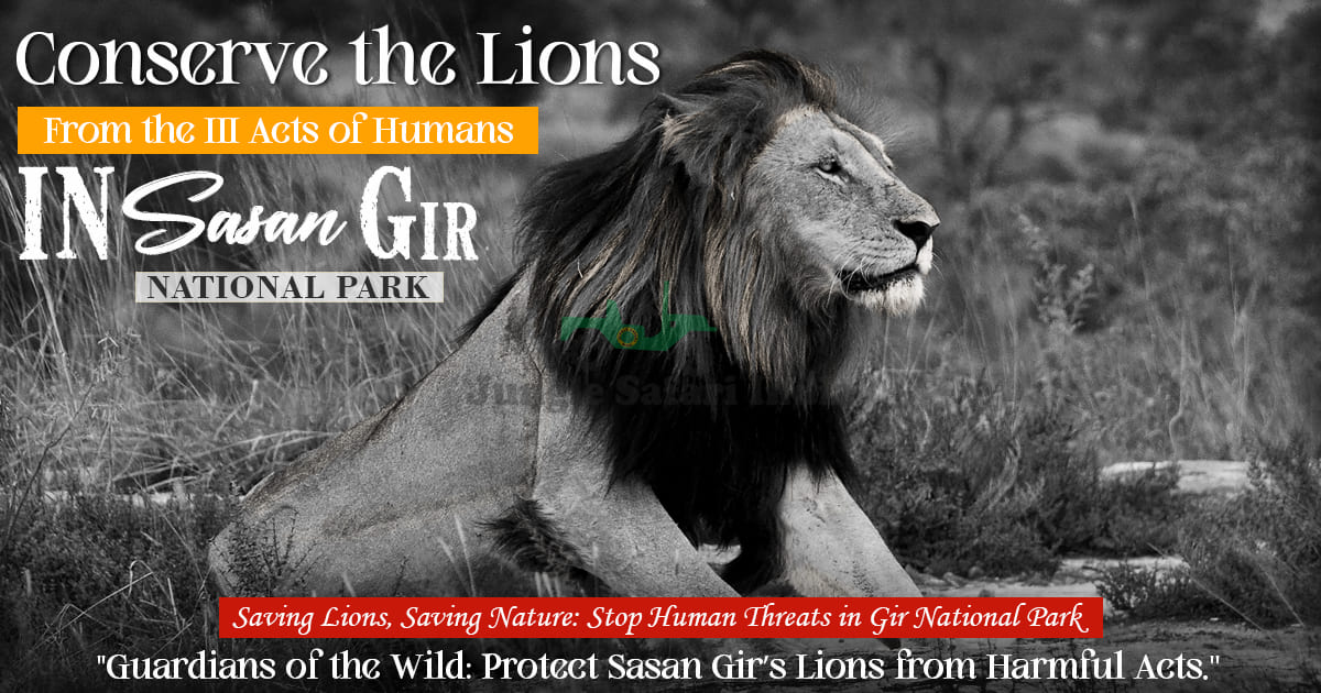 Conserve the Lions from The ill Acts of Humans in Sasan Gir