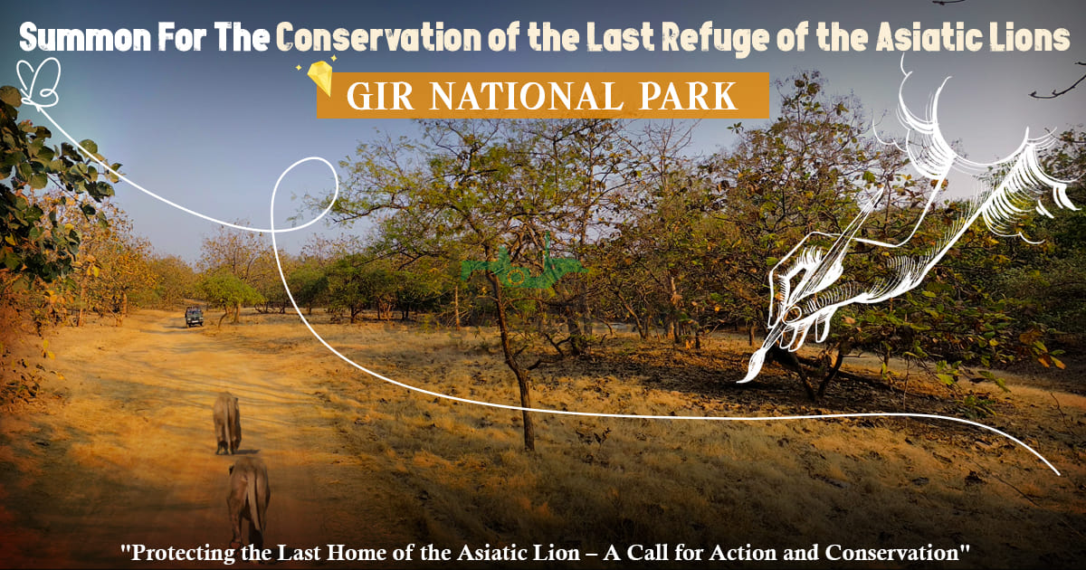 Summon For The Conservation of the Last Refuge of the Asiatic Lions