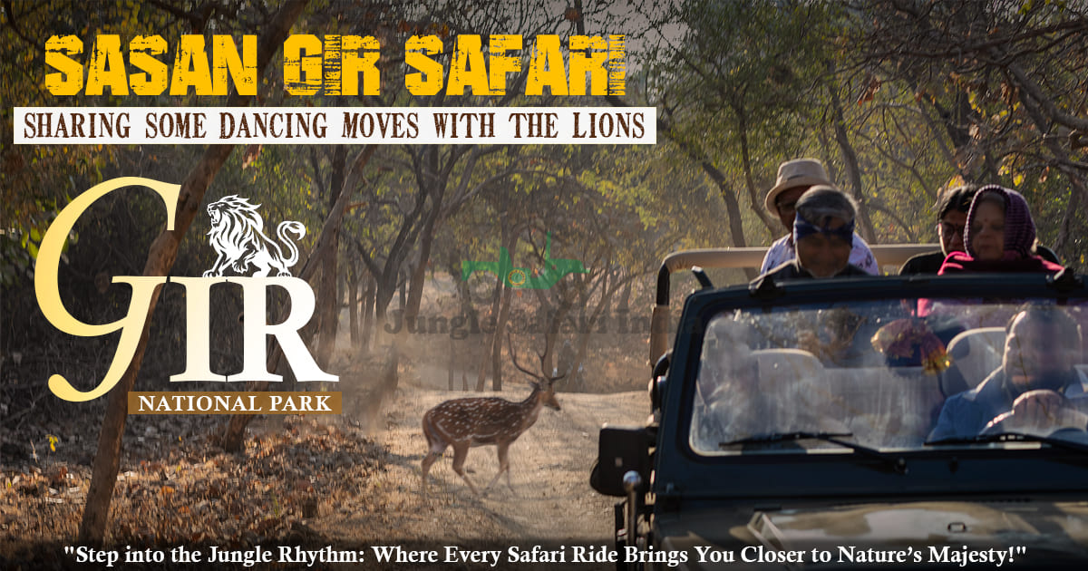 Sasan Gir Safari: Sharing Some Dancing Moves with the Lions