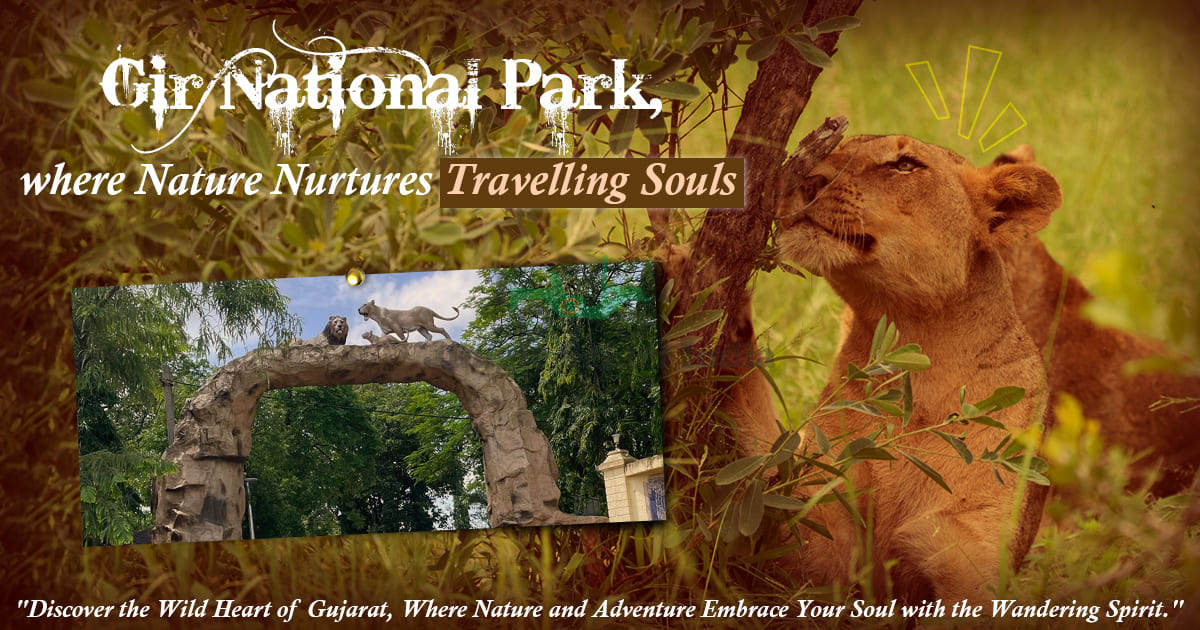 Gir National Park, where Nature Nurtures Travelling Souls