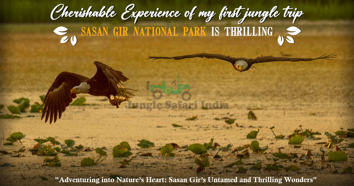 Cherishable Experience of My First Jungle Trip ; Sasan Gir National Park Is Thrilling