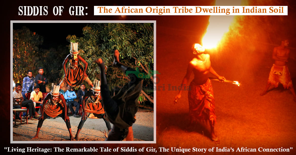 Siddis of Gir: The African Origin Tribe Dwelling in Indian Soil