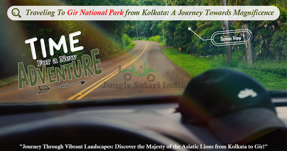 Traveling To Gir National Park from Kolkata: A Journey Towards Magnificence