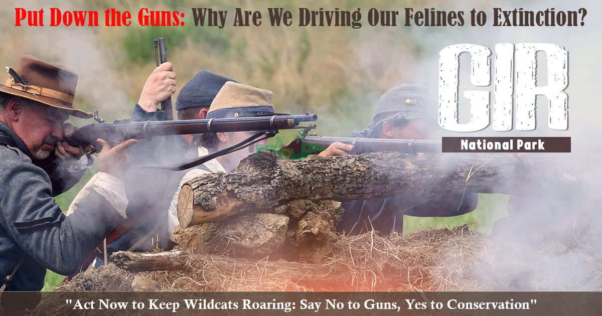 Put Down the Guns; Why Are We Driving Our Felines to Extinction?