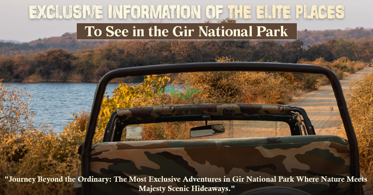 Exclusive Information of the Elite Places to See in the Gir National Park