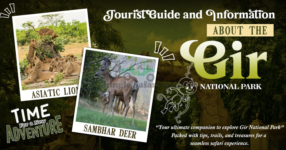 Tourist Guide and Information about the Gir National Park