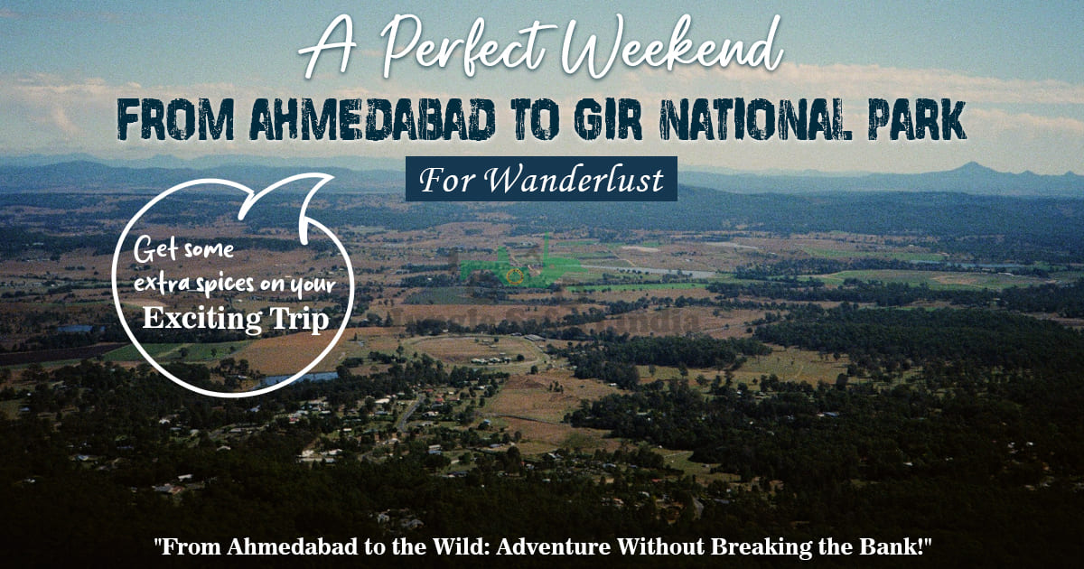 A Perfect Weekend from Ahmedabad to Gir National Park for Wanderlust