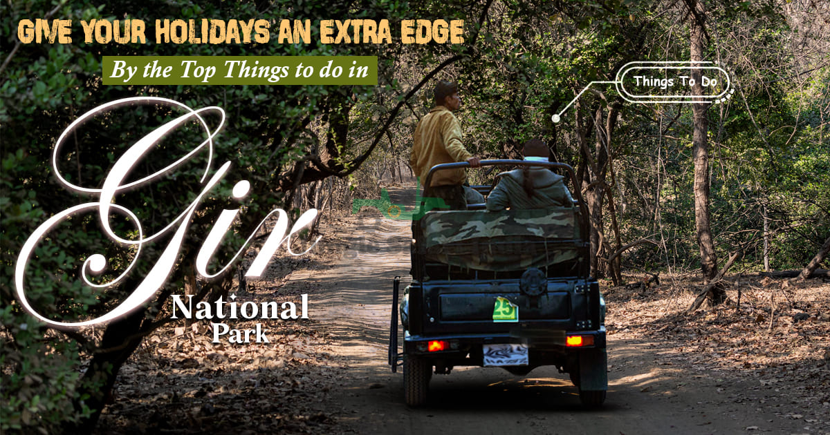 Give Your Holidays an Extra Edge by the Top Things to do in Gir National Park