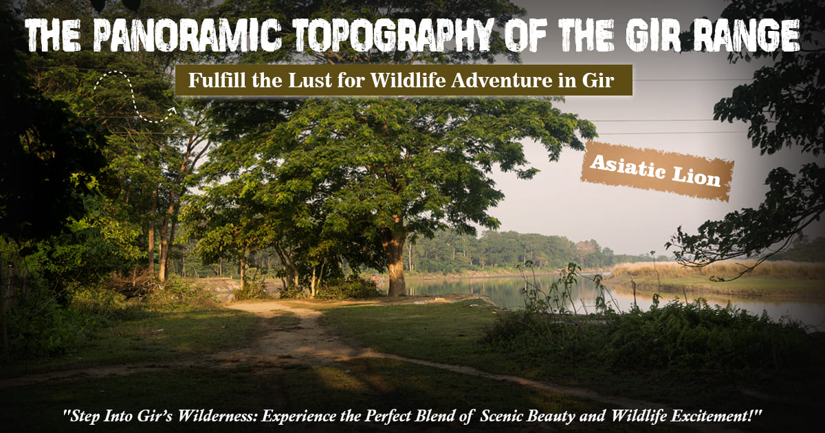 The Panoramic Topography of the Gir Range; Fulfill the Lust for Wildlife Adventure in Gir