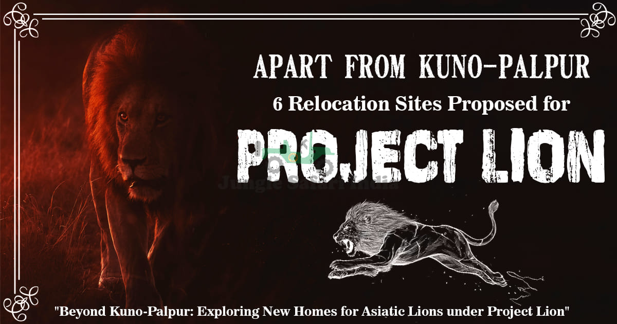 Apart from Kuno-Palpur, 6 Relocation Sites Proposed for “Project Lion”