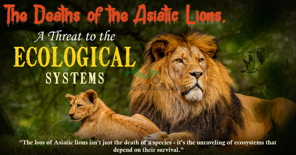 The Deaths of the Asiatic Lions, A Threat to the Ecological Systems