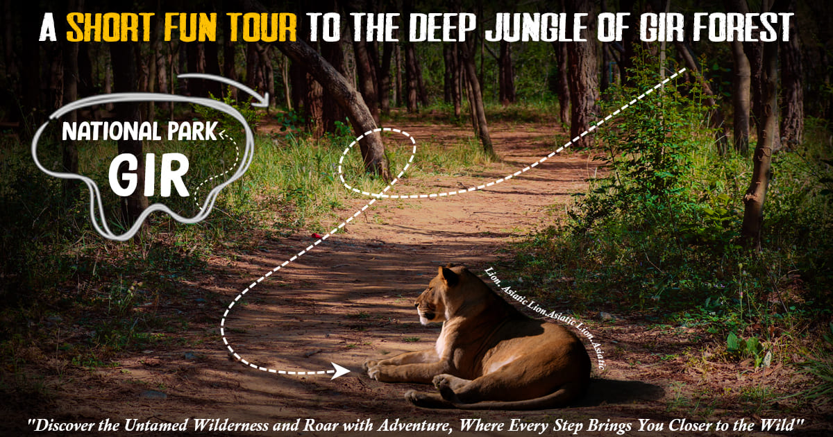 A Short Fun Tour to the Deep Jungle of Gir Forest