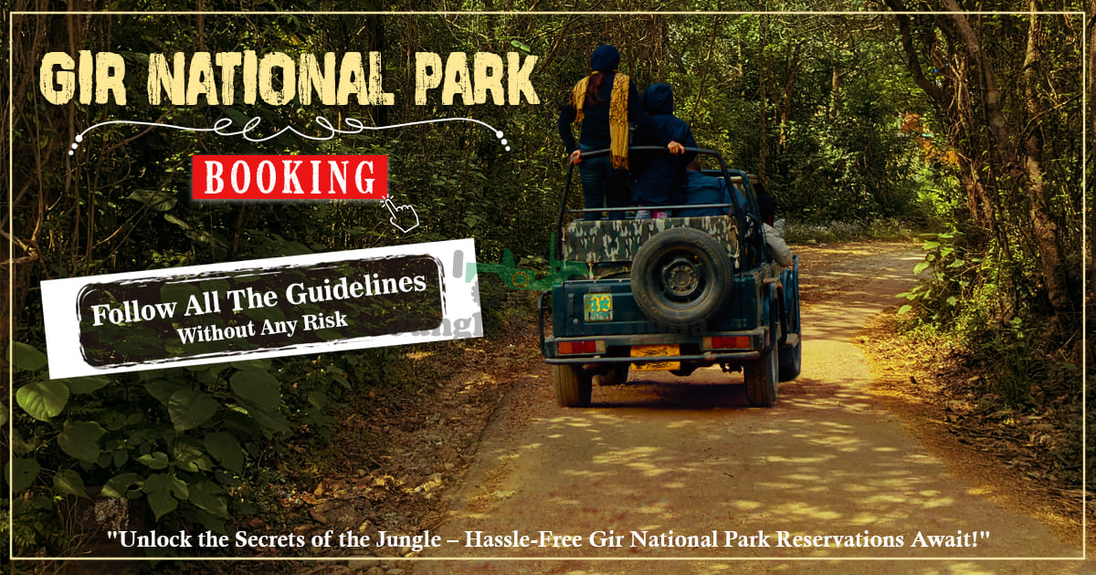 Gir National Park Booking