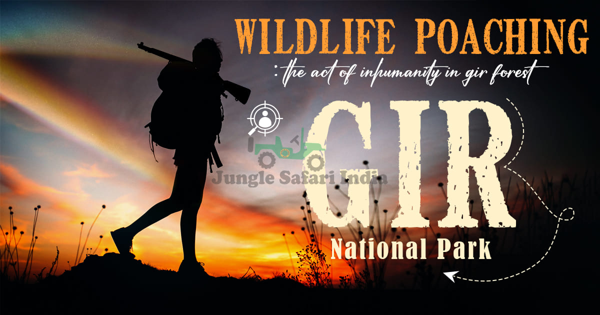 Wildlife Poaching; The Act of Inhumanity in Gir Forest