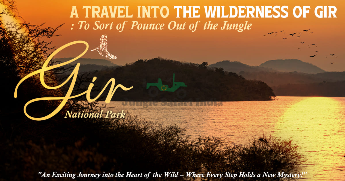 A Travel into the Wilderness of Gir: To Sort of Pounce Out of the Jungle