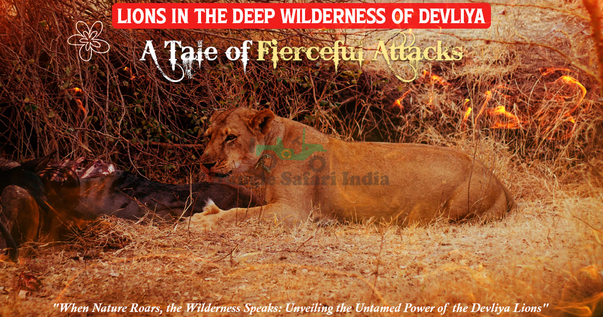 A Tale of Fierceful Attacks of the Lions in the Deep Wilderness of Devliya