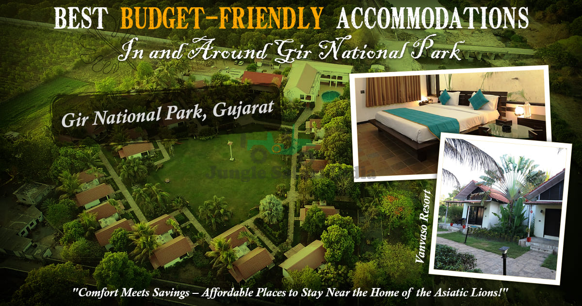 Best Budget-Friendly Accommodations In and Around Gir National Park