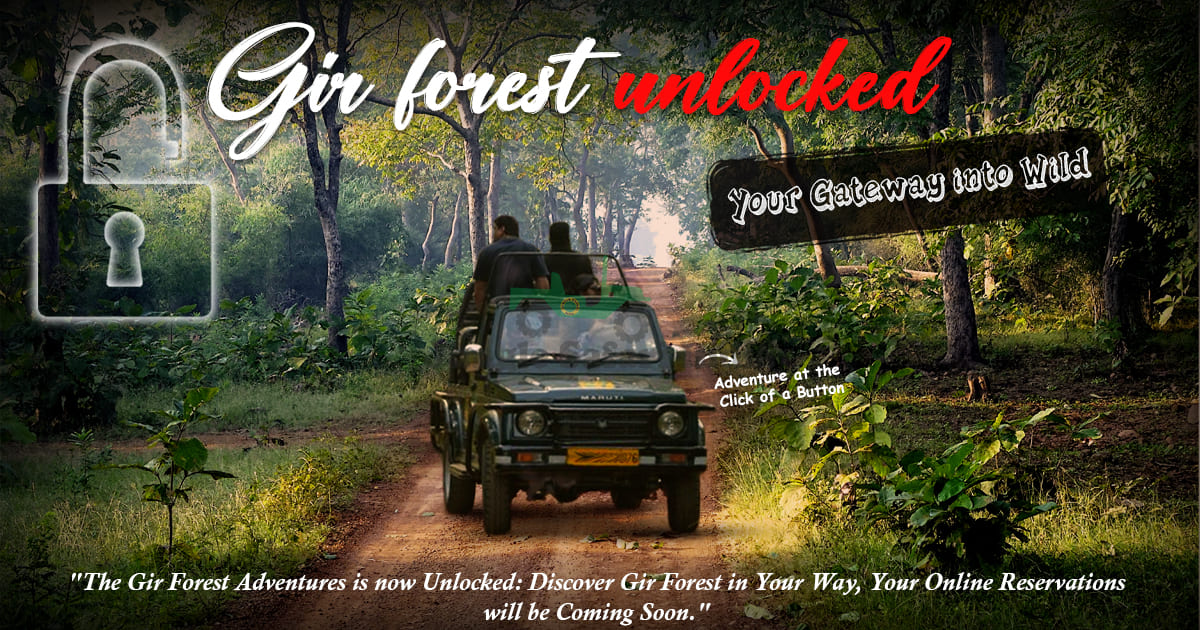 Gir Forest Unlocked