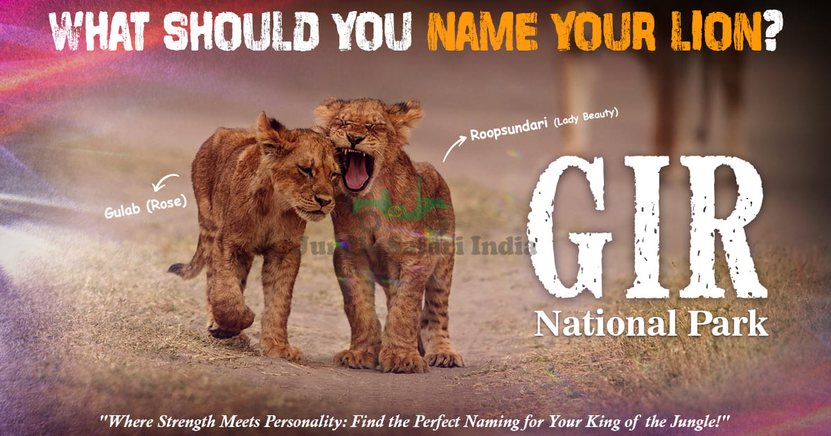 What Should You Name Your Lion?