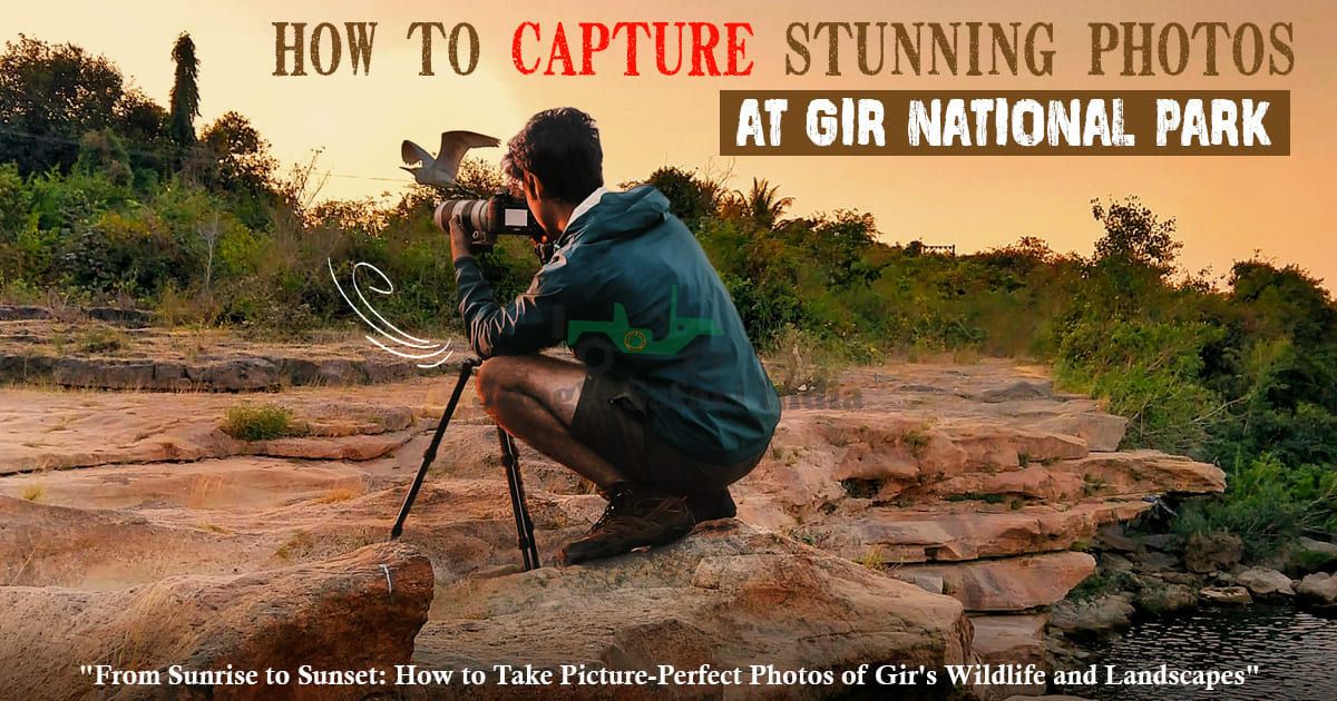 How To Capture Stunning Photos At Gir National Park