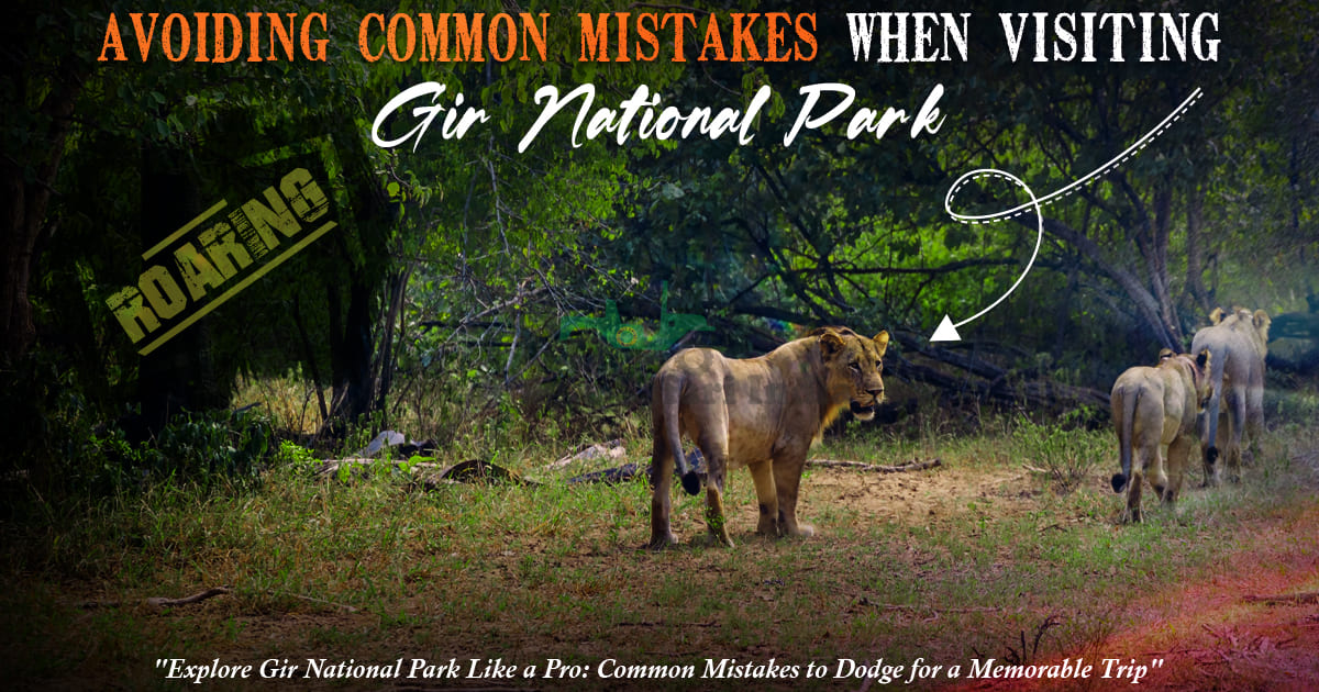 Avoiding Common Mistakes When Visiting Gir National Park