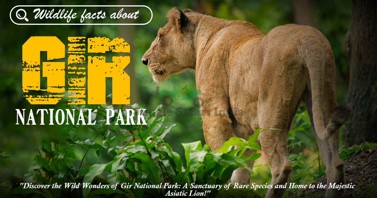 Wildlife Facts About Gir National Park