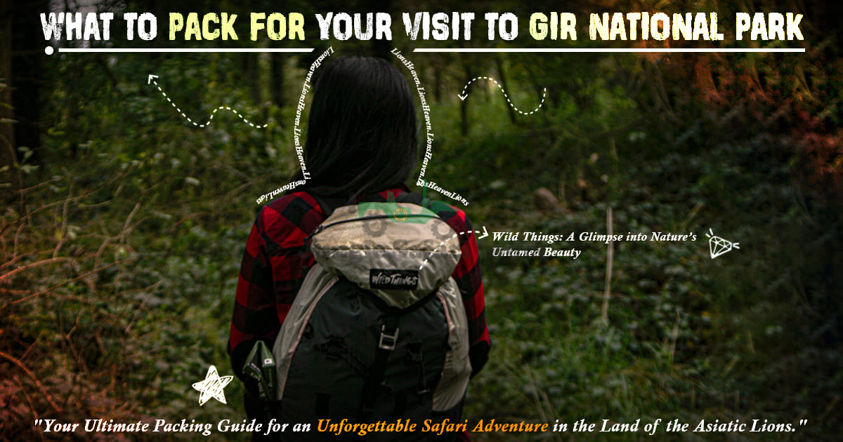 What To Pack For Your Visit To Gir National Park