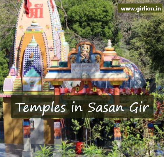 Different Temples to Visit Near Gir Forest
