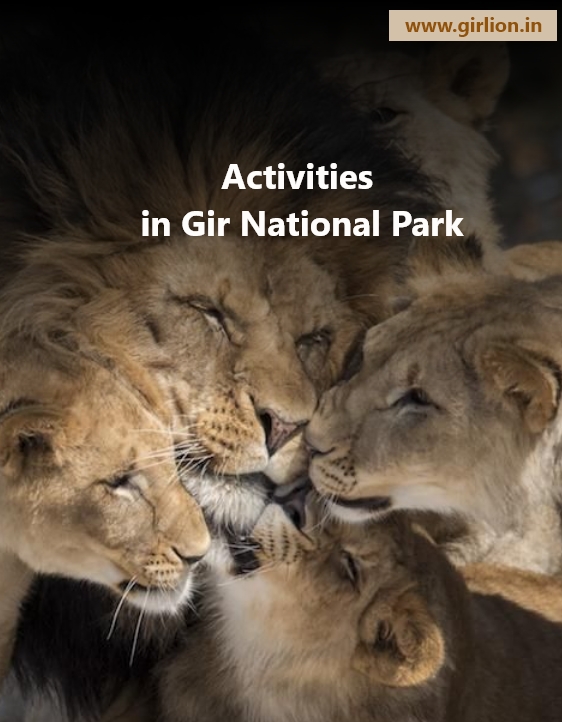 Events and Activities You Must Not Miss During Your Family Trip to Gir Forest