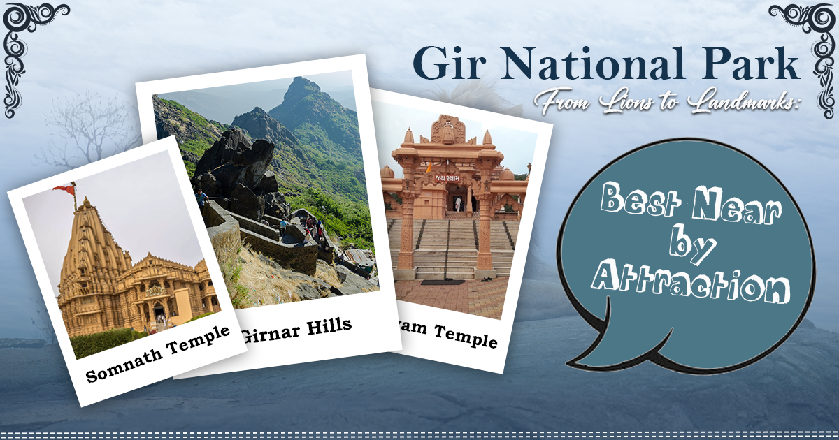 From lions to landmark best nearby attractions to gir national park