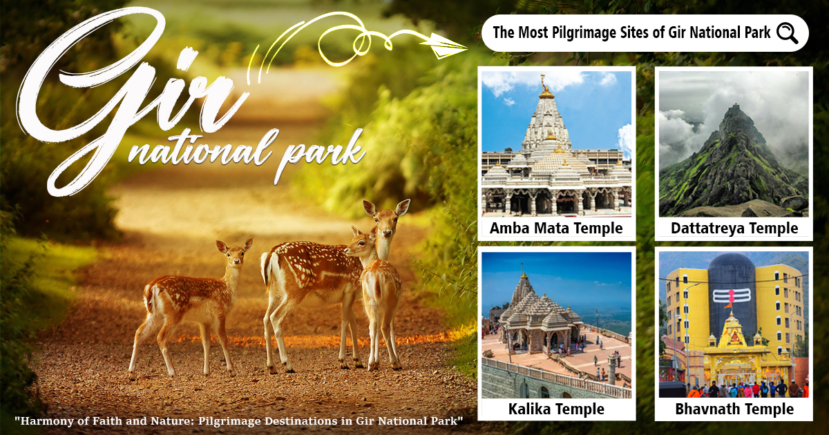 Pair these pilgrimage sites with gir national park
