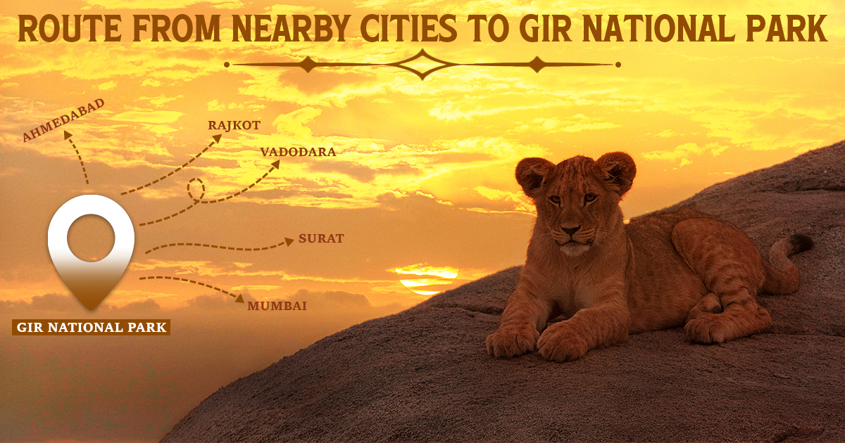 Route From Nearby Cities to Gir National Park