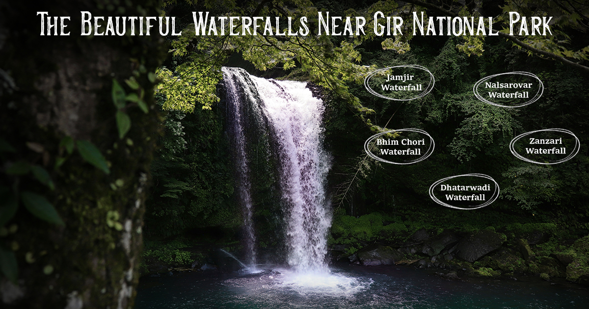 The Beautiful Waterfalls Near Gir National Park